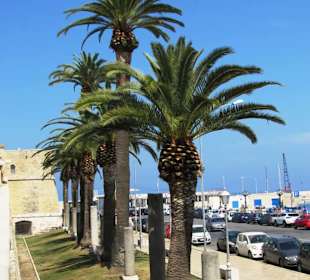 Strandpromenade Lungomare Augusto Imperatore