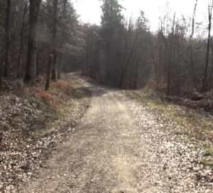 Premiumwanderweg Hohenwittlingensteig