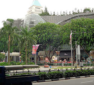 Blick auf die Orchad Road