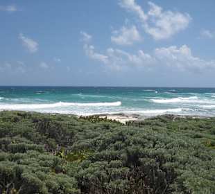 Meer Nordküste von Cozumel