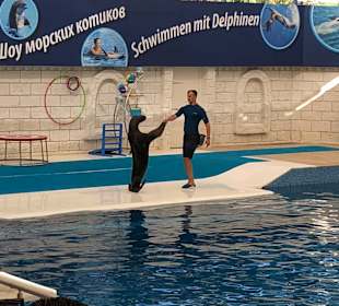 Delfinarium Aqualand Antalya