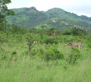 Sagenhafte landschaft