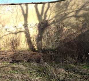 Klosterpark