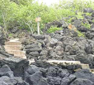 Hier kann man an Land