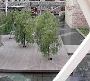 Wassergarten