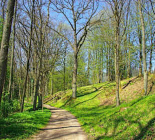 Der Bitterbach im Pegnitztal bei Nürnberg