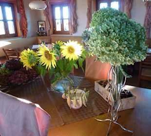 Schöne Stimmung beim Sonnenuntergang