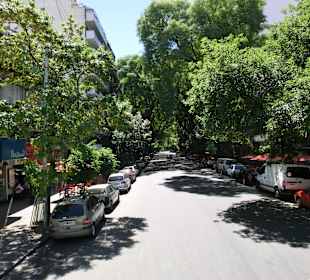 Viel grün in der Stadt