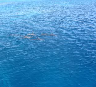 Endlich die Define ganz nah