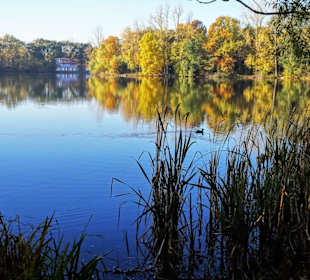 Impressionen vom Rundgang am Achterdieksee
