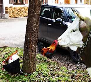 Naturschutzgebiet Kupferbachtal