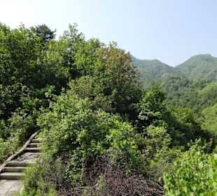 Simatai West to Jinshangling 