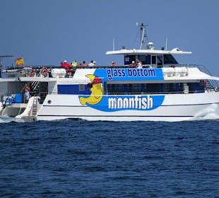 Glassbottomboat