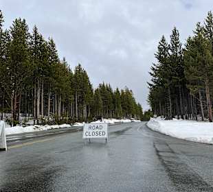 Yellowstone Nationalpark