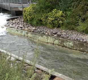 Erlebnispark Tripsdrill