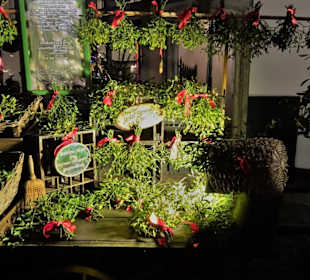 Impressionen vom "Heinzels Wintermärchen"