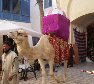 In der Medina