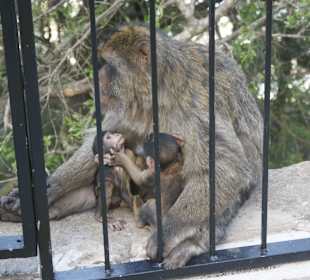 Gibraltar - enklawa brytyjska