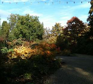 Kurpark Bad Wildungen im November