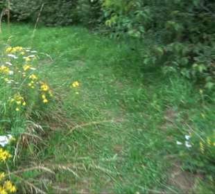 ALB-GOLD Naturgarten