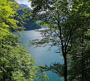 Königssee 
