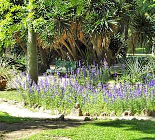 Rundgang durch den Botanischen Garten Cagliari