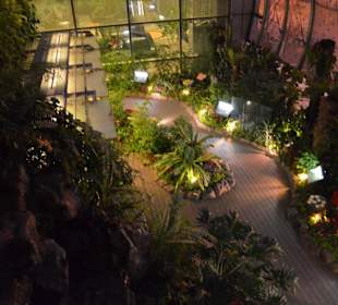 Flughafen Singapur Changi (SIN)