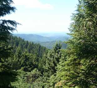 Eindrücke aus dem Rennsteiggarten