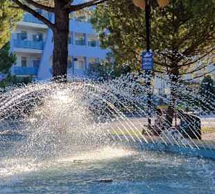 Die Springbrunnen
