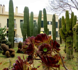 Botanischer Garten neben dem Rathaus