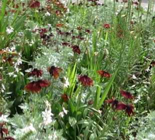 Platz am Kriegerdenkmal Auingen