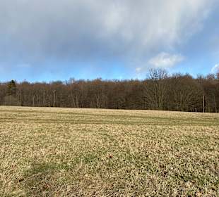 Wandern Thale