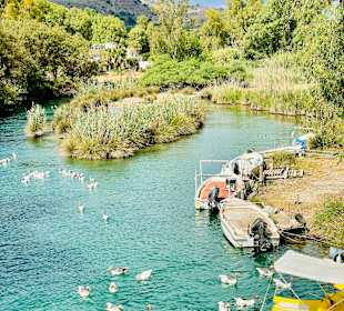 Turtle River