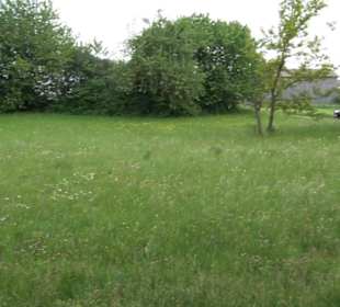 Naturinfopfad im Gewann Altstadt
