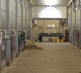 Haupt- und Landgestüt Marbach