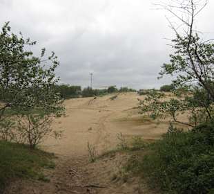 Dünen
