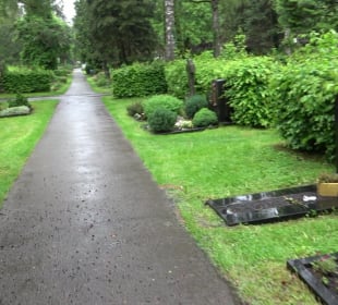 Altstadt Bad Waldsee