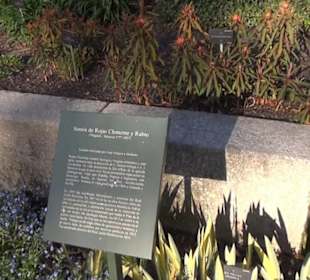 Real Jardín Botánico de Madrid