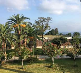 Überall war man von Palmen und Blumen umgeben, was eine angenehme Atmosphäre bereitete.  Aldiana Club Rocca Nettuno Calabria