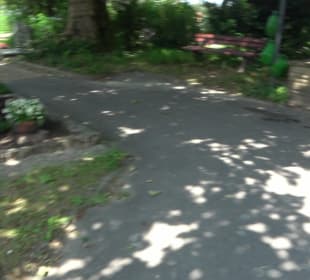 Friedhof Handschuhsheim