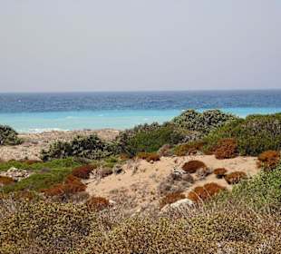 Westküste schön türkis