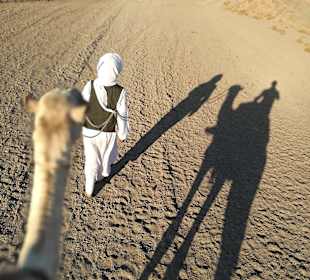 Camel Safaris