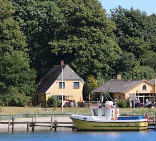 Dänische Ochseninseln