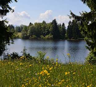 Lugenauer See