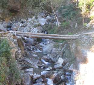 Bridge over the river