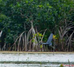Lagune Bacalar