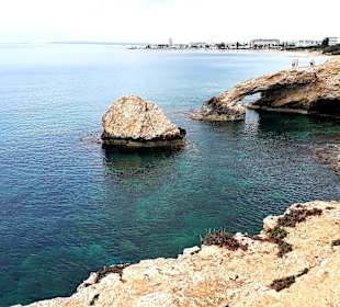 Ayia Napa Bogen Monachus Monachus