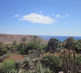 Aussicht vom Botanischen Garten