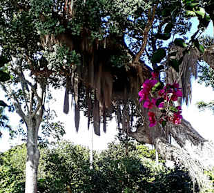 Jardins De Sant´Ana