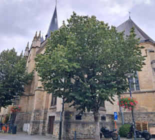  Sint-Mauritiuskerk in Bilzen, Belgien 